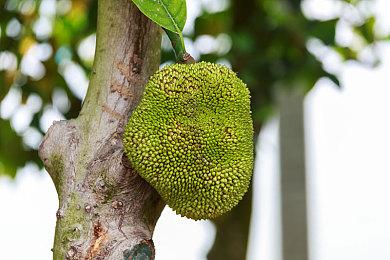 《质量效应：传奇版》非官方补丁发布 修复初代BUG